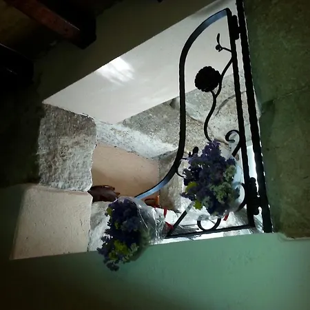 بيت ضيافة Dioklecian Wall